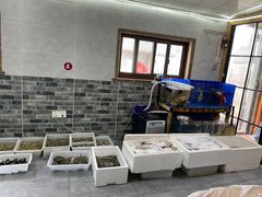 -阿杰臻选海鲜饭店(普陀山店)