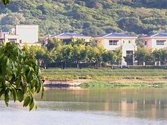 -风云岭森林公园