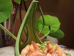 -今朝桃花醉川菜小酒馆(龙湖天街店)
