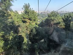 -兴福老面馆(寺路街店)