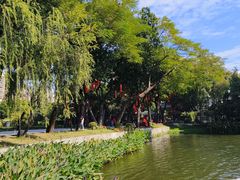 -荔湾湖公园