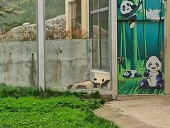 -西安秦岭野生动物园