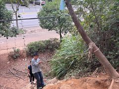 -青龙山国家森林公园