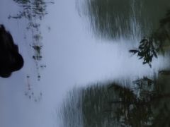 -瑶湖郊野森林公园