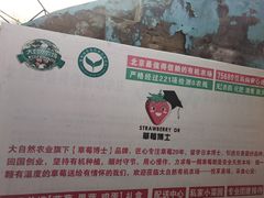 -大自然农场蔬菜草莓采摘园