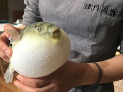 -肆月河豚·新淮扬(金融街店)