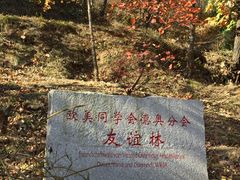 -北京鹫峰国家森林公园