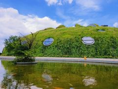 -上海吴淞炮台湾国家湿地公园