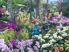 -北京植物园-展览温室