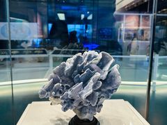 -上海中国航海博物馆