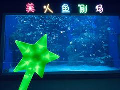-邯郸海洋世界
