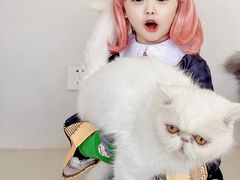 -怪兽屋·羊驼·猫咖·狗咖(俊华广场店)