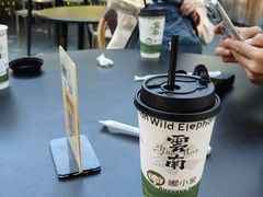 -西双版纳原始森林公园