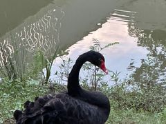 -云碧峰国家森林公园