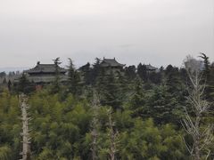 -洛阳白马寺