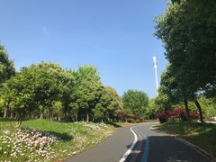 -贡湖湾湿地公园