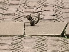 -五营红松林海景区