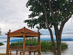 -洱海月湿地公园