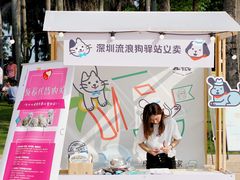 -欢乐海岸椰林沙滩-2025湾区超级灯会