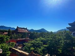 -清东陵