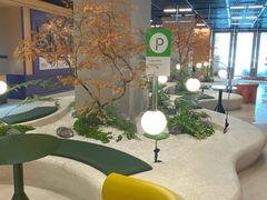 -帕帕拉兹宠物(亚洲旗舰店)