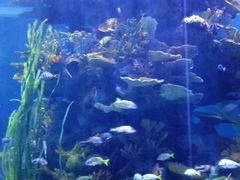 -多彩贵州城极地海洋世界