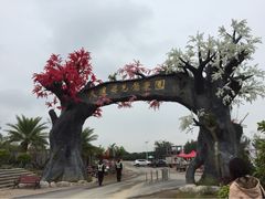 天适樱花悠乐园-天适樱花悠乐园