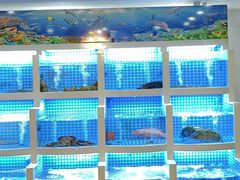 -明城五号烤鸭坊(建国门店)