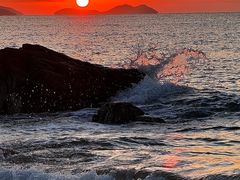 -小麦岛公园