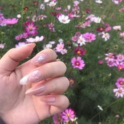 -姜美堂·蒸姜除湿の纤体美颜馆