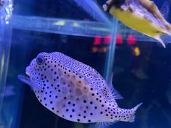 -太平洋海底世界