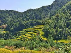 -灵山景区梯田
