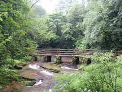 -碧峰峡风景区