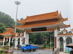 -深圳仙湖植物园