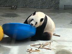 -西安秦岭野生动物园