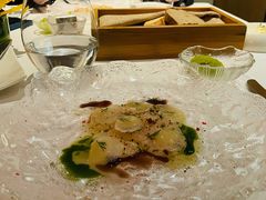 -蝶舍·MAISON PAPILLON