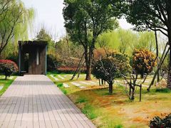-南翔镇银翔湖公园