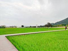-艾米稻香小镇