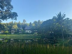 -四季酒店下午茶