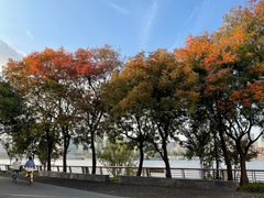 -上海山野camping·户外天幕烧烤·团建拓展营地