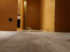 -河源万绿湖美思威尔顿酒店