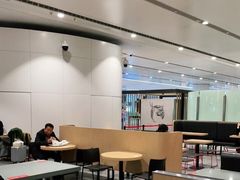 大堂-麦当劳(北京大兴机场二层国内到达(安检外)店)