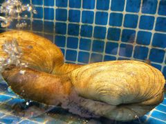 -庆赫隆融合菜馆(群力店)