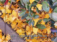 -上海市黄浦区卢湾第一中心小学