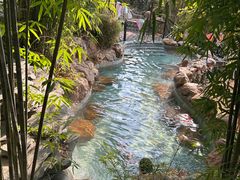-崇阳三特浪口温泉