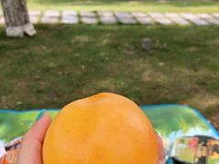 -灞河西岸滨河公园