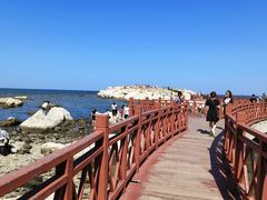 -养马岛旅游度假区