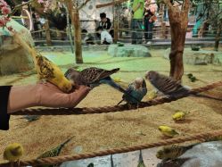 -酷嗒动物文化乐园(cutezoo西溪乐天城店)