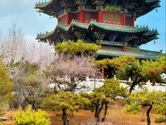 -迎泽公园
