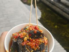 -茯茶镇